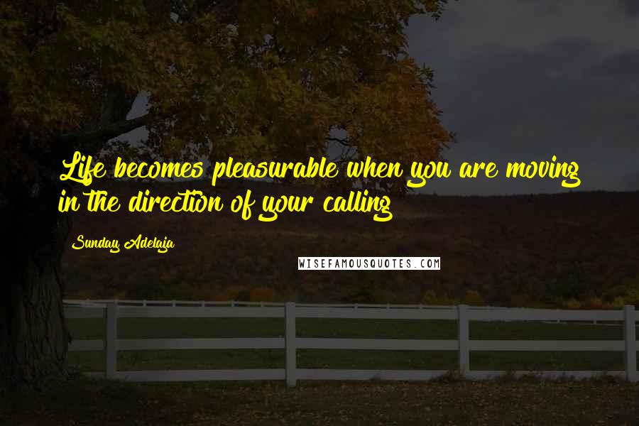 Sunday Adelaja Quotes: Life becomes pleasurable when you are moving in the direction of your calling