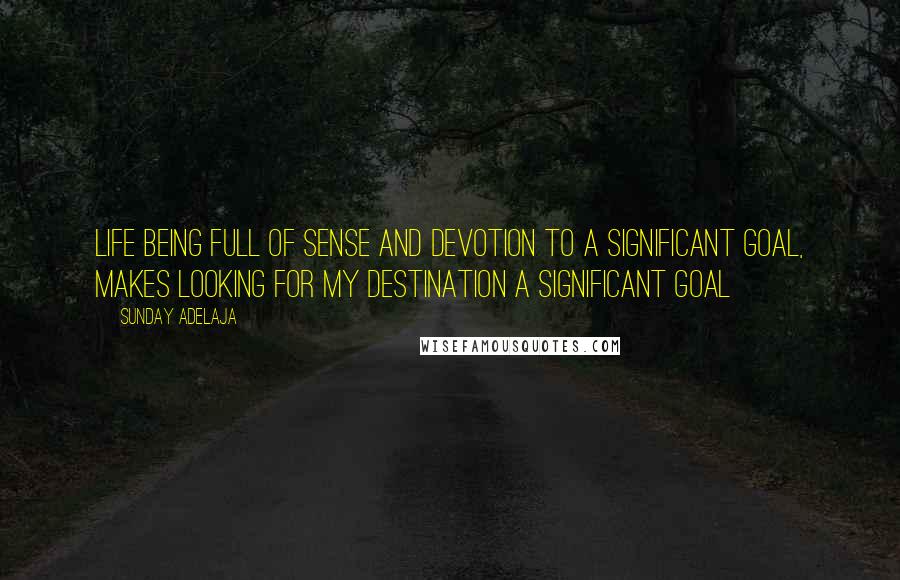 Sunday Adelaja Quotes: Life being full of sense and devotion to a significant goal, makes looking for my destination a significant goal