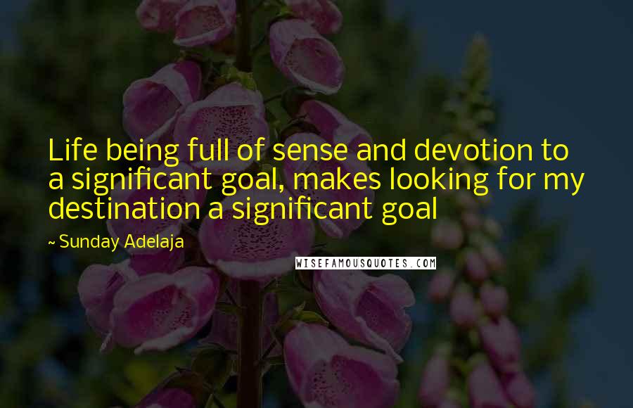 Sunday Adelaja Quotes: Life being full of sense and devotion to a significant goal, makes looking for my destination a significant goal