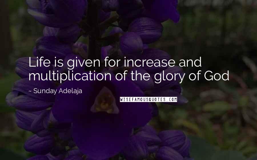 Sunday Adelaja Quotes: Life is given for increase and multiplication of the glory of God