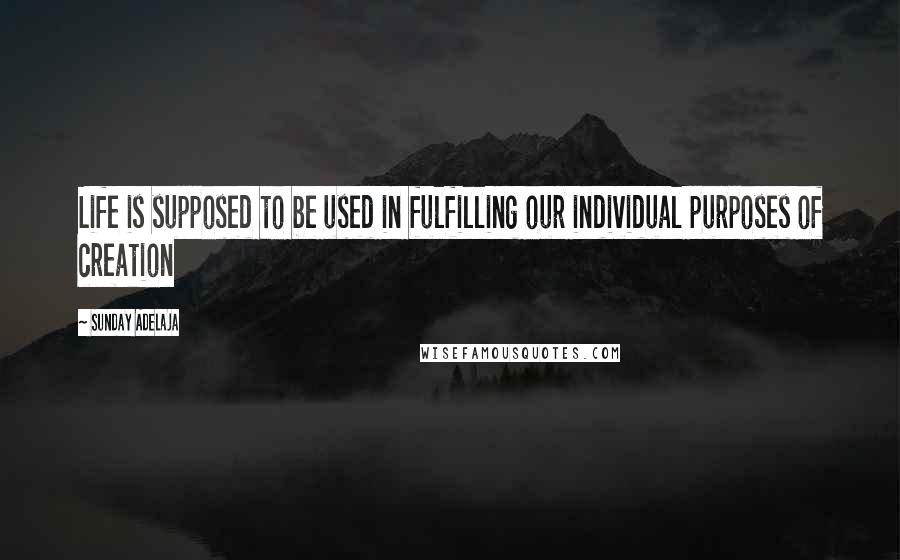 Sunday Adelaja Quotes: Life is supposed to be used in fulfilling our individual purposes of creation