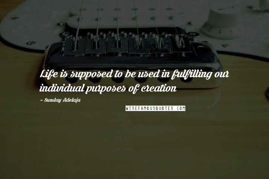 Sunday Adelaja Quotes: Life is supposed to be used in fulfilling our individual purposes of creation