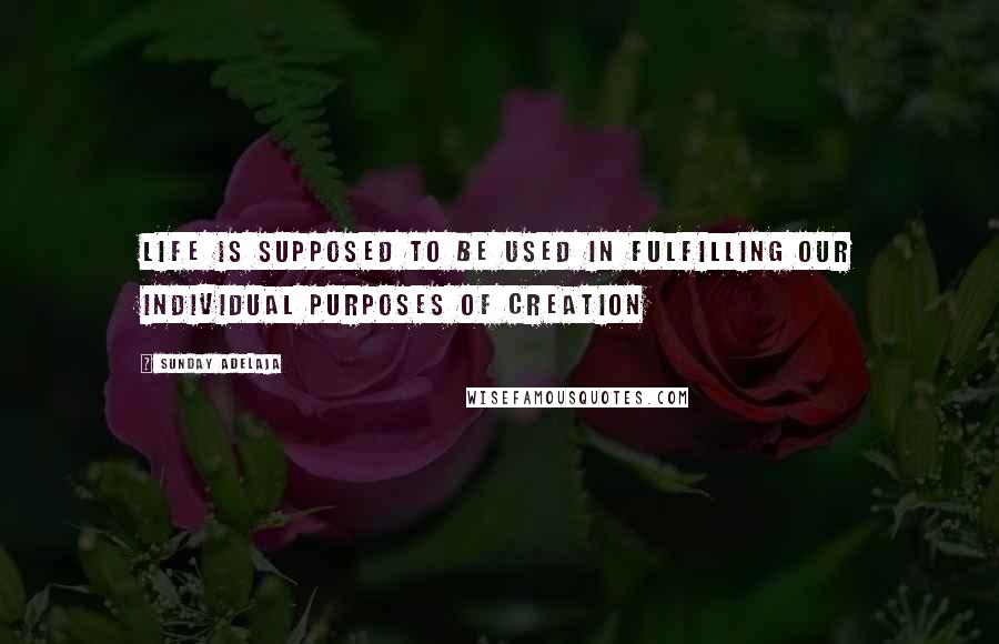 Sunday Adelaja Quotes: Life is supposed to be used in fulfilling our individual purposes of creation