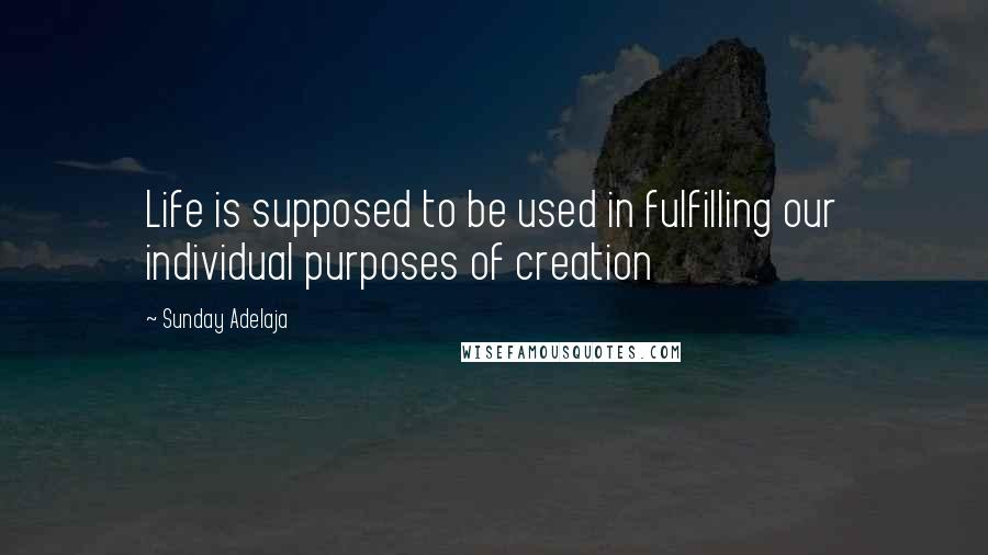 Sunday Adelaja Quotes: Life is supposed to be used in fulfilling our individual purposes of creation