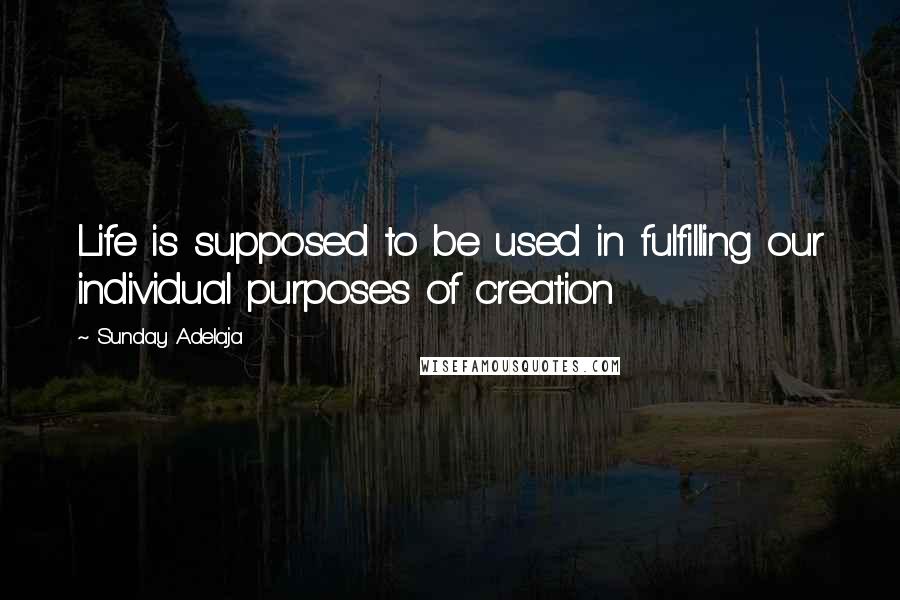 Sunday Adelaja Quotes: Life is supposed to be used in fulfilling our individual purposes of creation