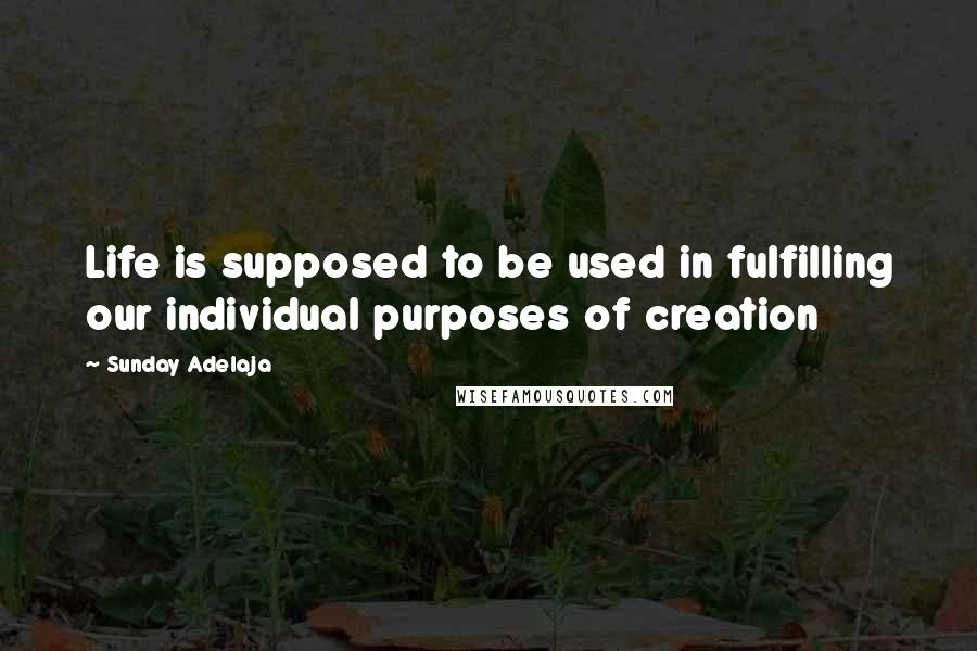 Sunday Adelaja Quotes: Life is supposed to be used in fulfilling our individual purposes of creation