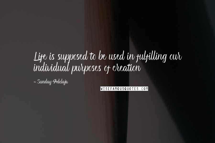 Sunday Adelaja Quotes: Life is supposed to be used in fulfilling our individual purposes of creation