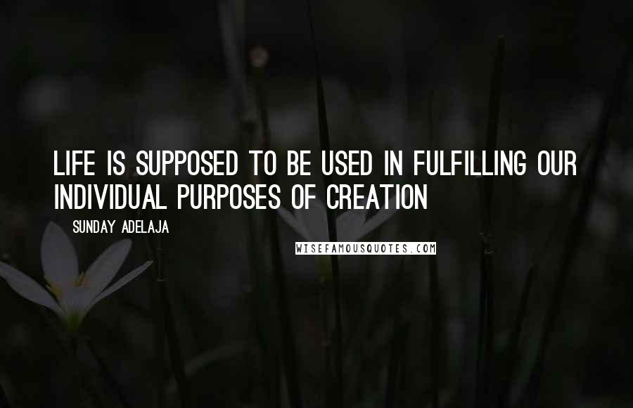 Sunday Adelaja Quotes: Life is supposed to be used in fulfilling our individual purposes of creation