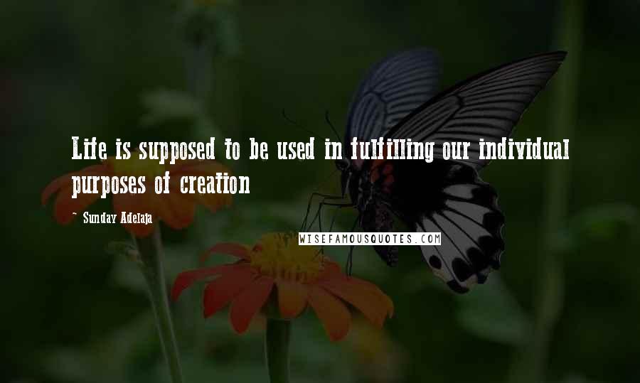 Sunday Adelaja Quotes: Life is supposed to be used in fulfilling our individual purposes of creation