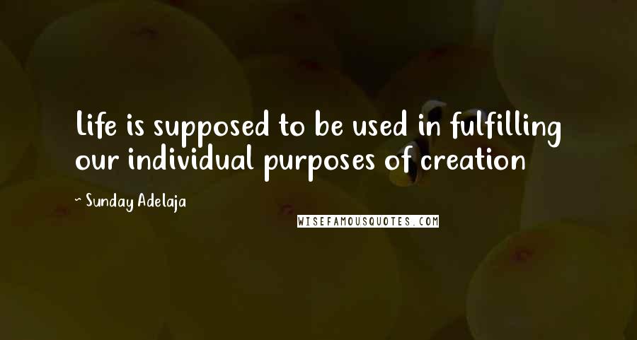 Sunday Adelaja Quotes: Life is supposed to be used in fulfilling our individual purposes of creation