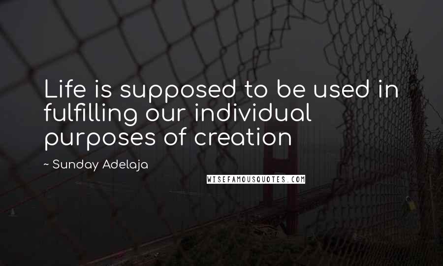 Sunday Adelaja Quotes: Life is supposed to be used in fulfilling our individual purposes of creation