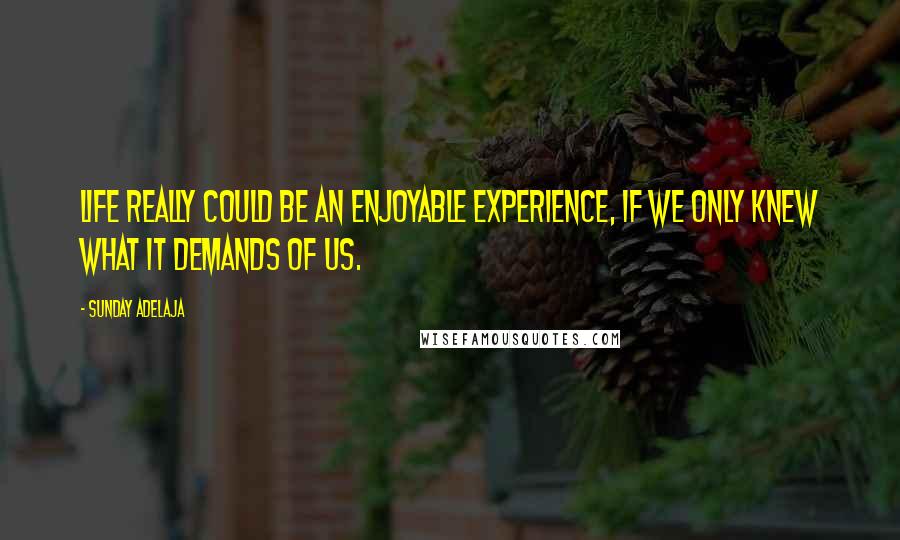 Sunday Adelaja Quotes: Life really could be an enjoyable experience, if we only knew what it demands of us.