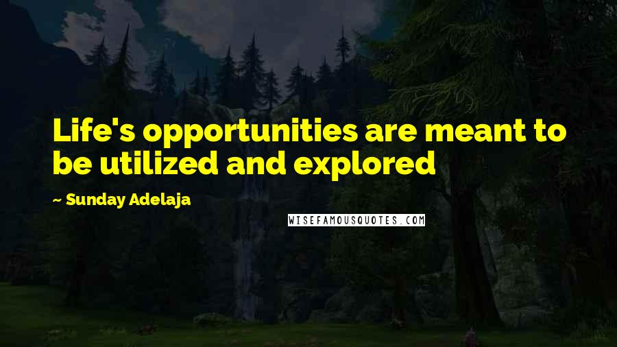 Sunday Adelaja Quotes: Life's opportunities are meant to be utilized and explored