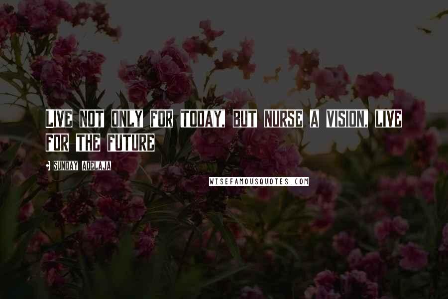 Sunday Adelaja Quotes: Live not only for today, but nurse a vision, live for the future