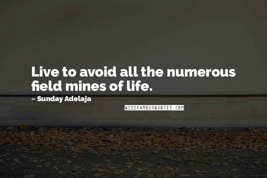 Sunday Adelaja Quotes: Live to avoid all the numerous field mines of life.