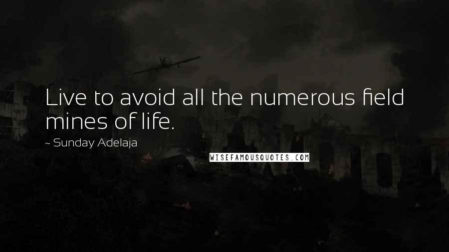 Sunday Adelaja Quotes: Live to avoid all the numerous field mines of life.