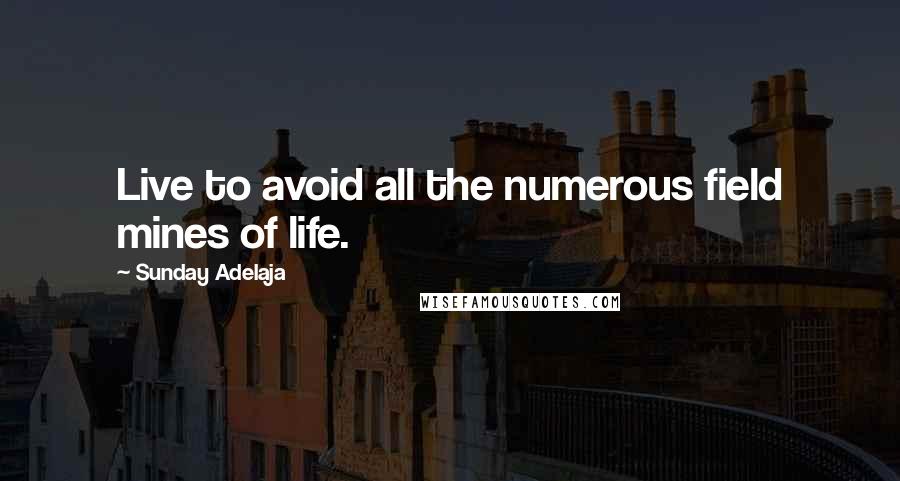 Sunday Adelaja Quotes: Live to avoid all the numerous field mines of life.