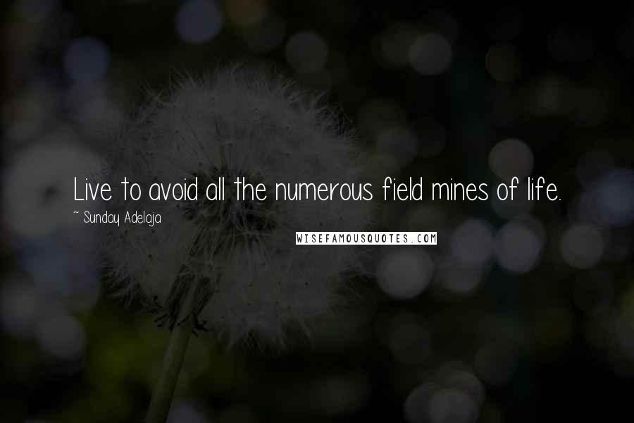 Sunday Adelaja Quotes: Live to avoid all the numerous field mines of life.