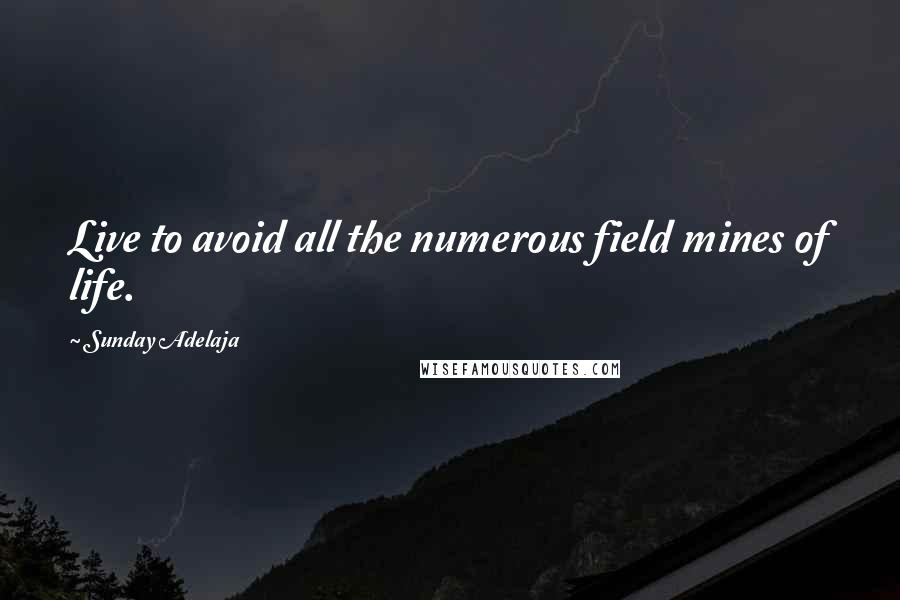 Sunday Adelaja Quotes: Live to avoid all the numerous field mines of life.