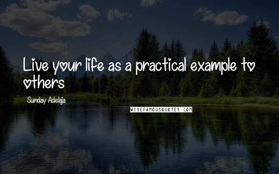 Sunday Adelaja Quotes: Live your life as a practical example to others