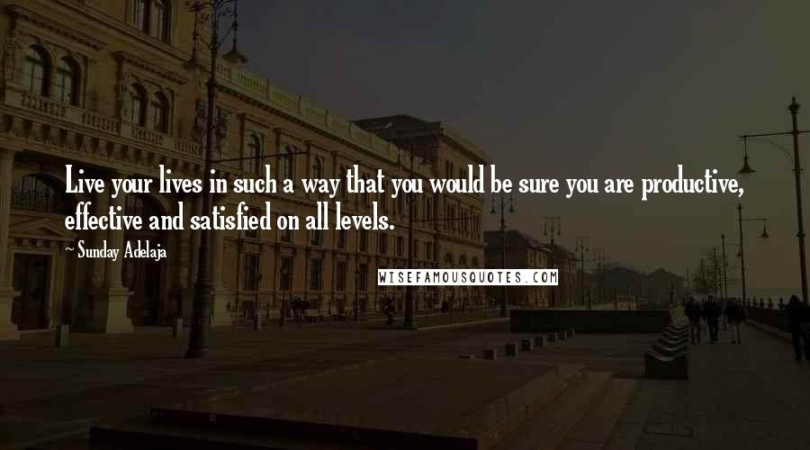 Sunday Adelaja Quotes: Live your lives in such a way that you would be sure you are productive, effective and satisfied on all levels.