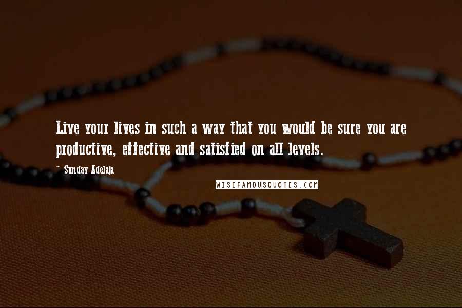 Sunday Adelaja Quotes: Live your lives in such a way that you would be sure you are productive, effective and satisfied on all levels.