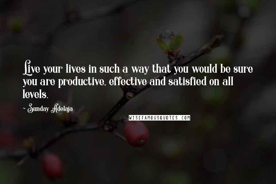 Sunday Adelaja Quotes: Live your lives in such a way that you would be sure you are productive, effective and satisfied on all levels.