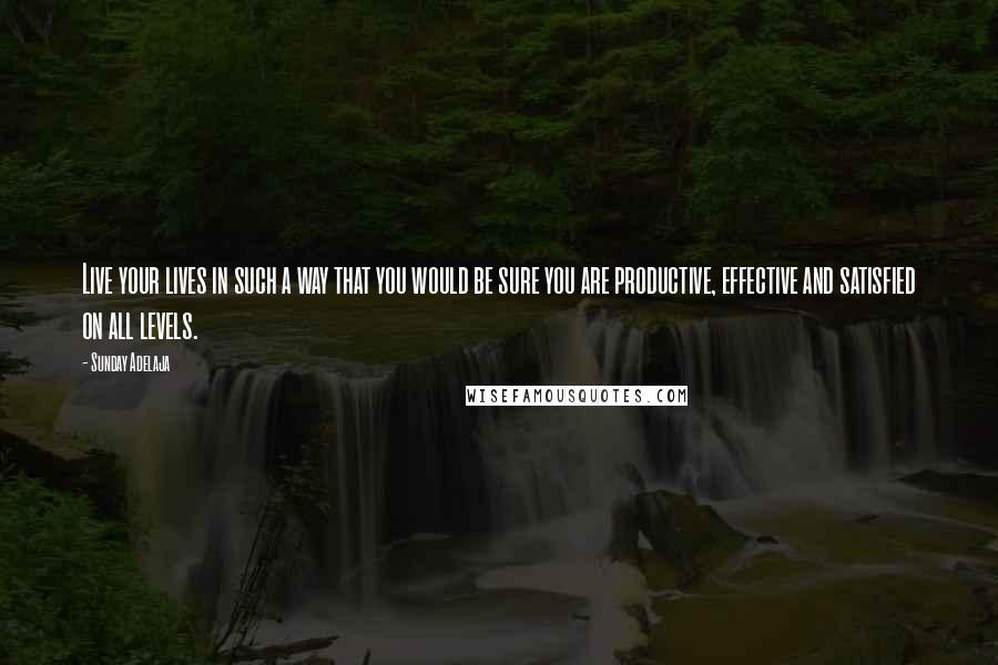 Sunday Adelaja Quotes: Live your lives in such a way that you would be sure you are productive, effective and satisfied on all levels.