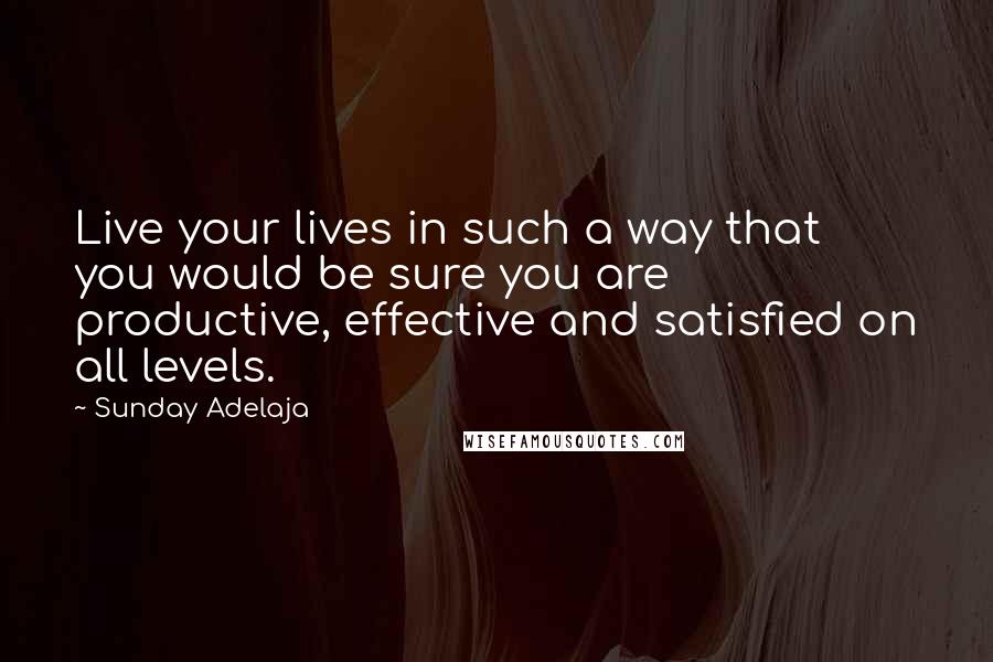 Sunday Adelaja Quotes: Live your lives in such a way that you would be sure you are productive, effective and satisfied on all levels.