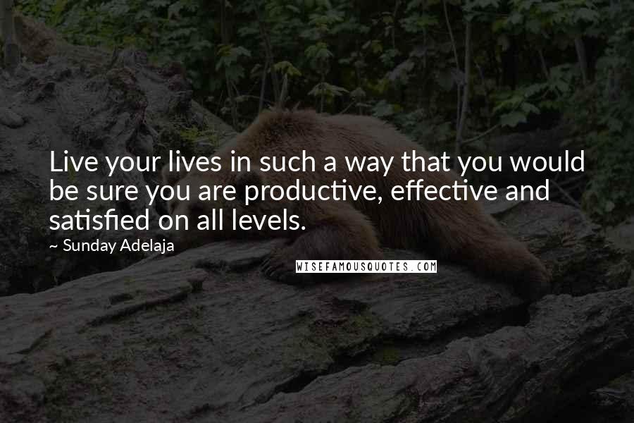 Sunday Adelaja Quotes: Live your lives in such a way that you would be sure you are productive, effective and satisfied on all levels.