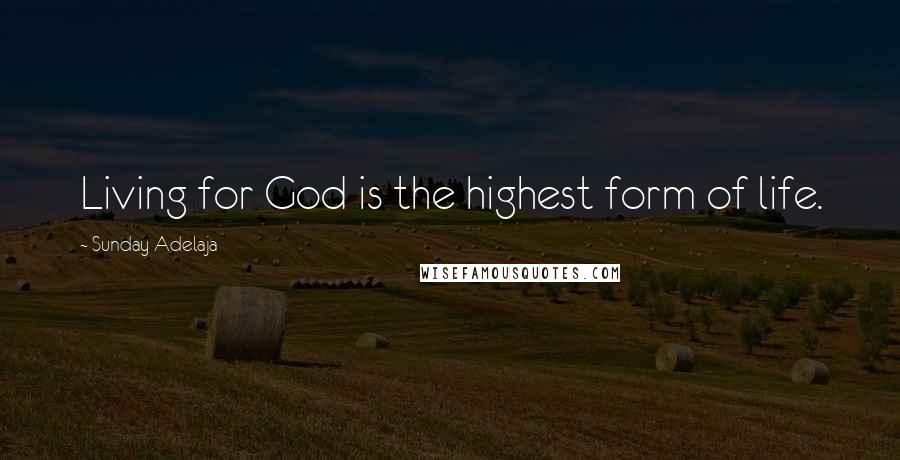 Sunday Adelaja Quotes: Living for God is the highest form of life.