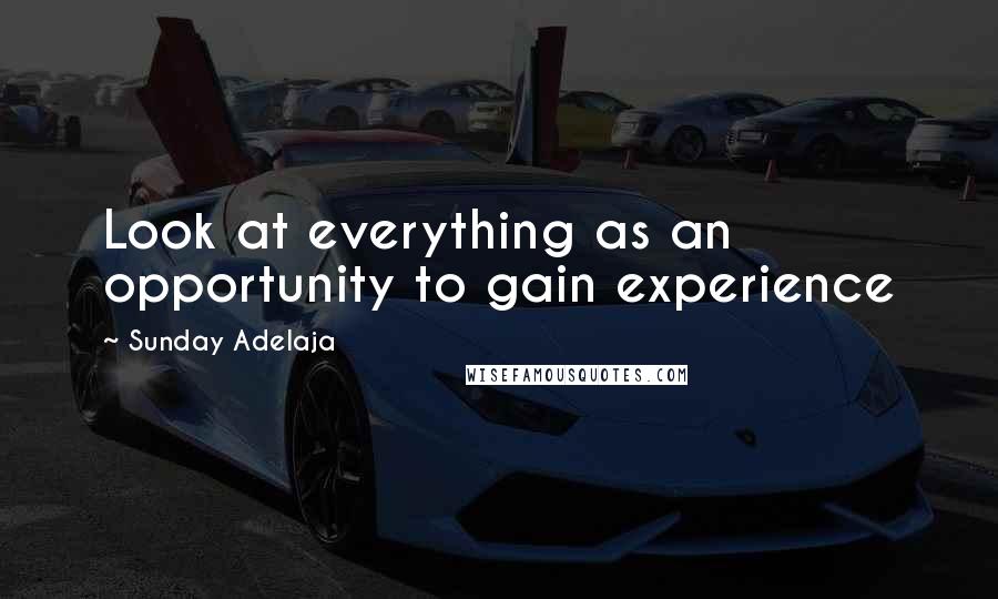 Sunday Adelaja Quotes: Look at everything as an opportunity to gain experience