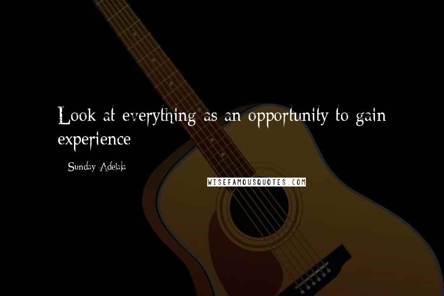 Sunday Adelaja Quotes: Look at everything as an opportunity to gain experience