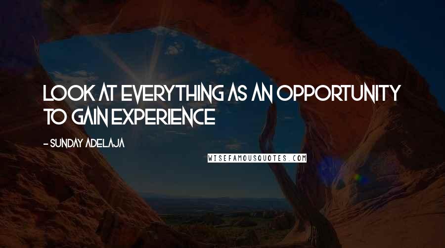 Sunday Adelaja Quotes: Look at everything as an opportunity to gain experience