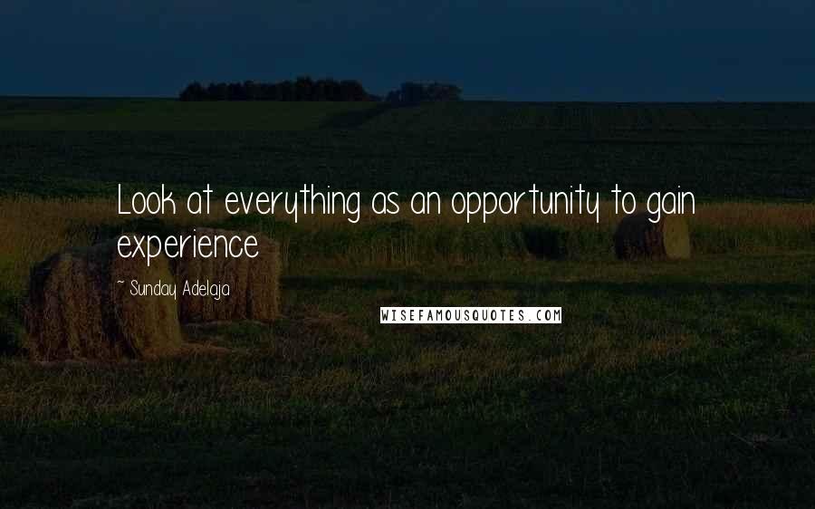 Sunday Adelaja Quotes: Look at everything as an opportunity to gain experience