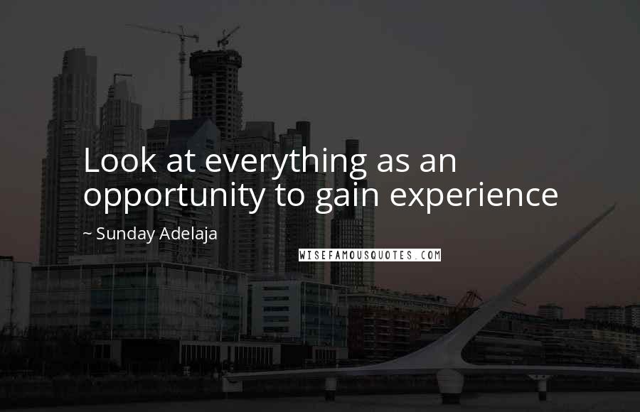 Sunday Adelaja Quotes: Look at everything as an opportunity to gain experience