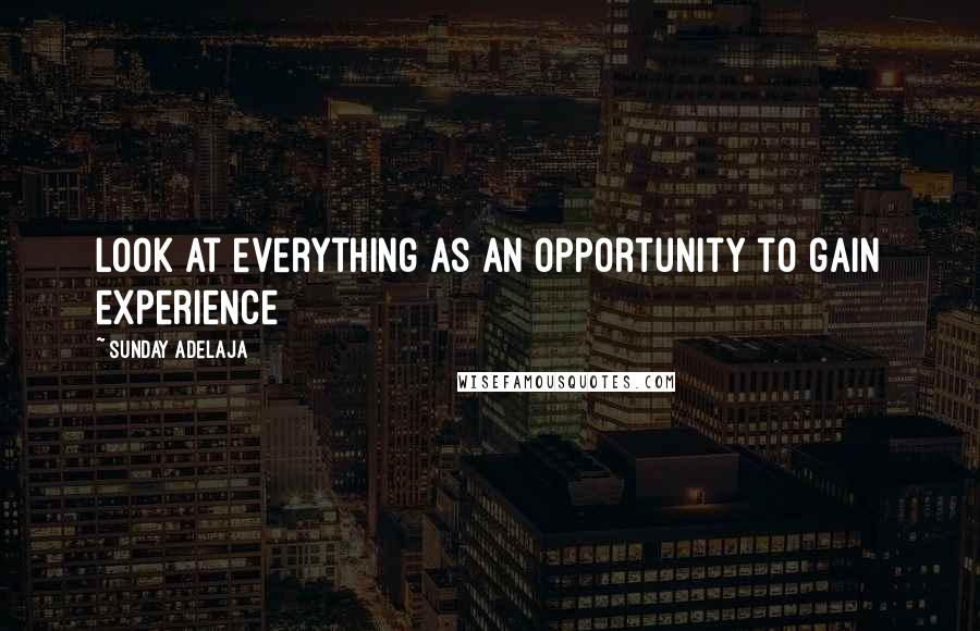 Sunday Adelaja Quotes: Look at everything as an opportunity to gain experience