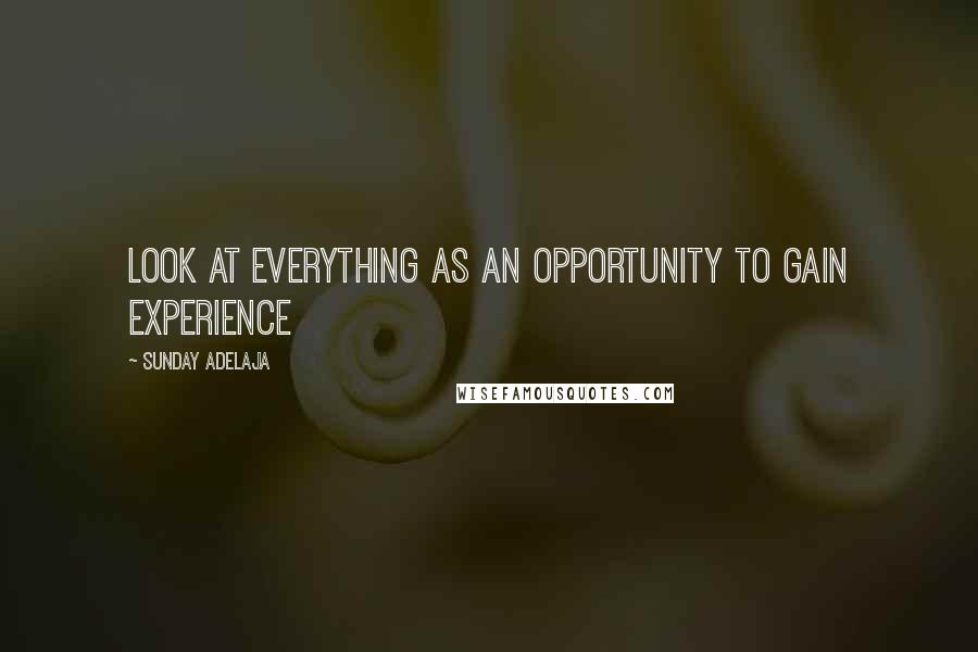 Sunday Adelaja Quotes: Look at everything as an opportunity to gain experience