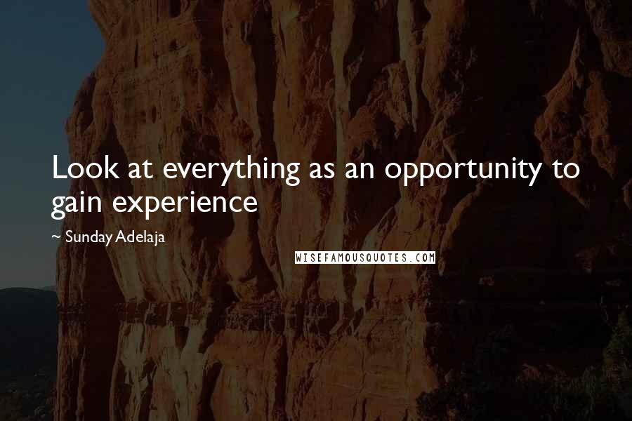 Sunday Adelaja Quotes: Look at everything as an opportunity to gain experience