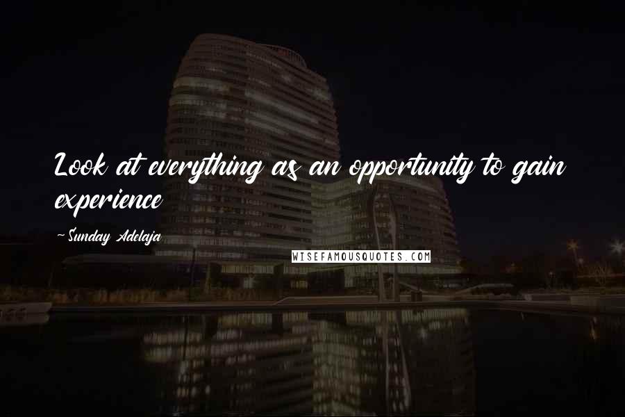 Sunday Adelaja Quotes: Look at everything as an opportunity to gain experience