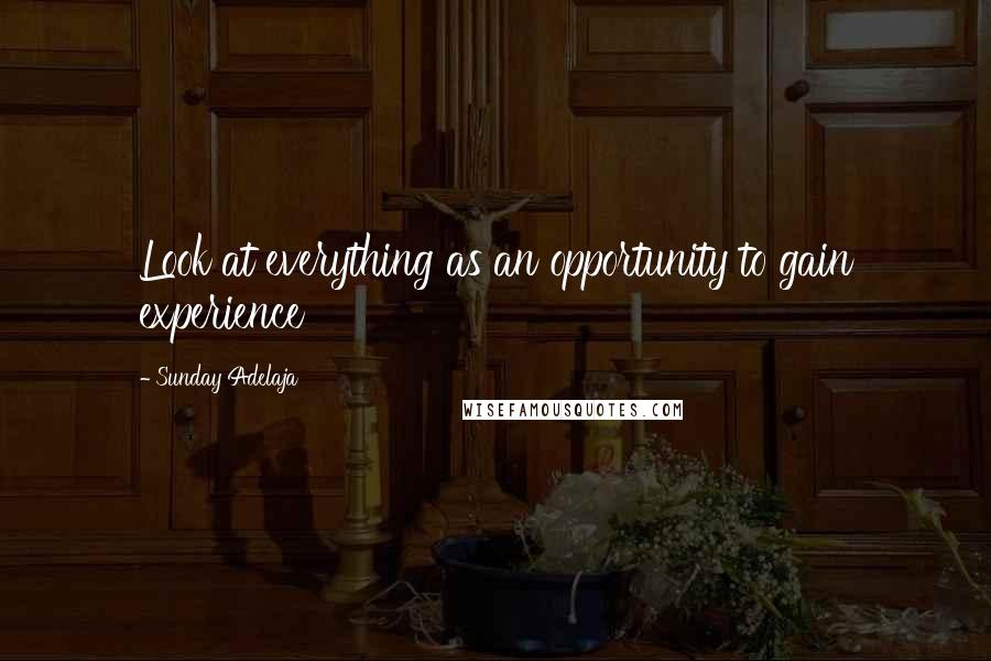 Sunday Adelaja Quotes: Look at everything as an opportunity to gain experience