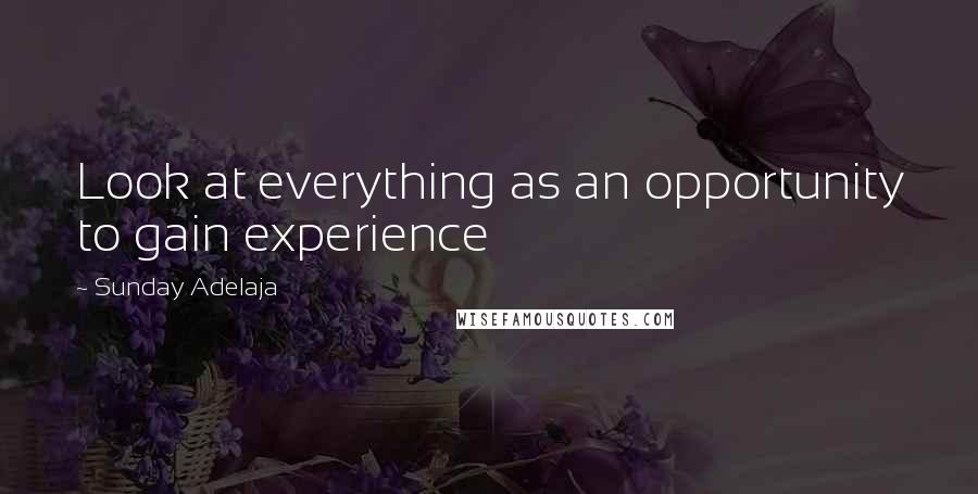 Sunday Adelaja Quotes: Look at everything as an opportunity to gain experience