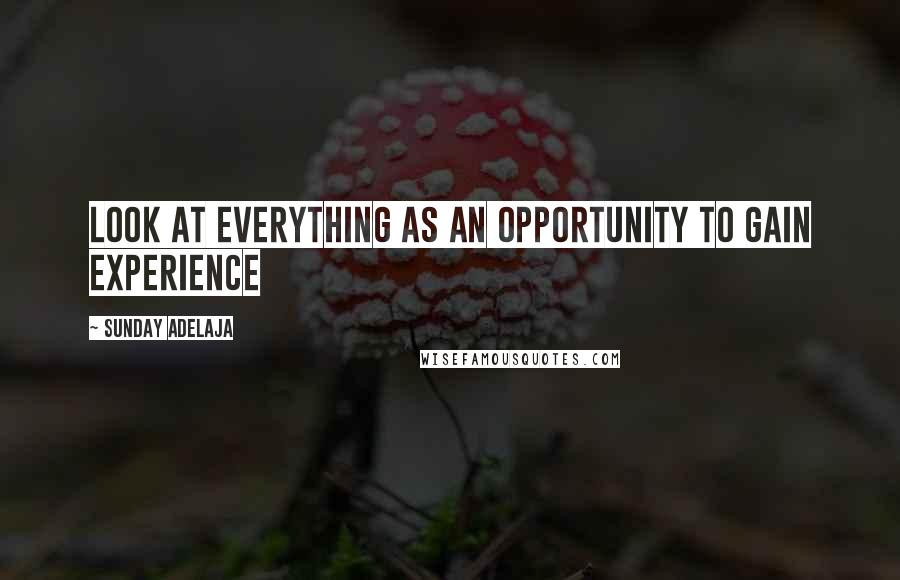 Sunday Adelaja Quotes: Look at everything as an opportunity to gain experience