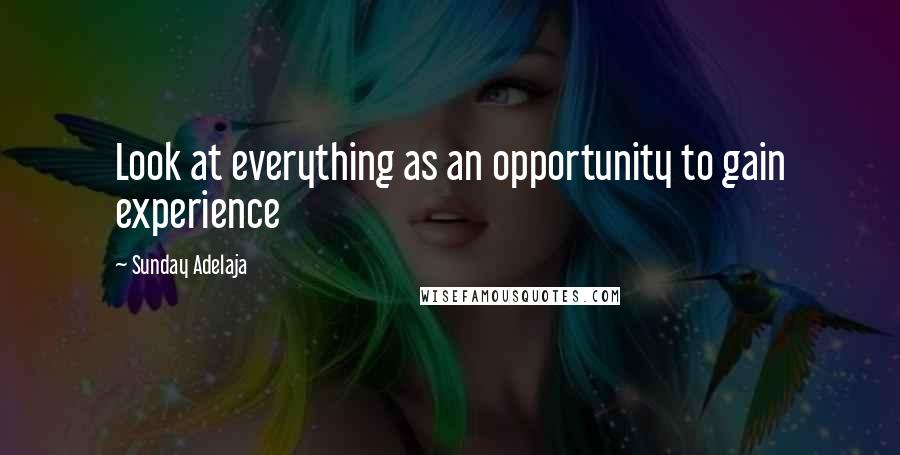 Sunday Adelaja Quotes: Look at everything as an opportunity to gain experience