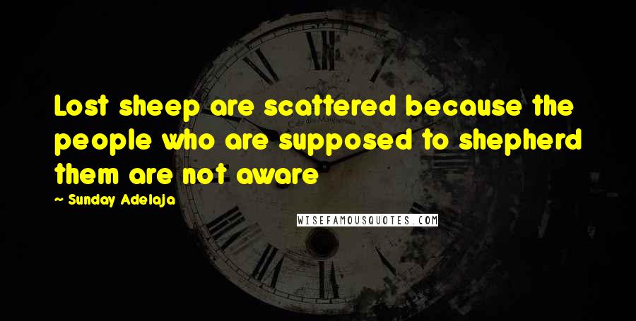 Sunday Adelaja Quotes: Lost sheep are scattered because the people who are supposed to shepherd them are not aware