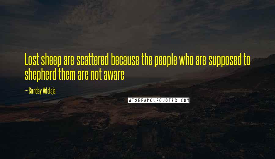 Sunday Adelaja Quotes: Lost sheep are scattered because the people who are supposed to shepherd them are not aware