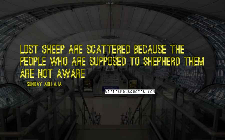 Sunday Adelaja Quotes: Lost sheep are scattered because the people who are supposed to shepherd them are not aware