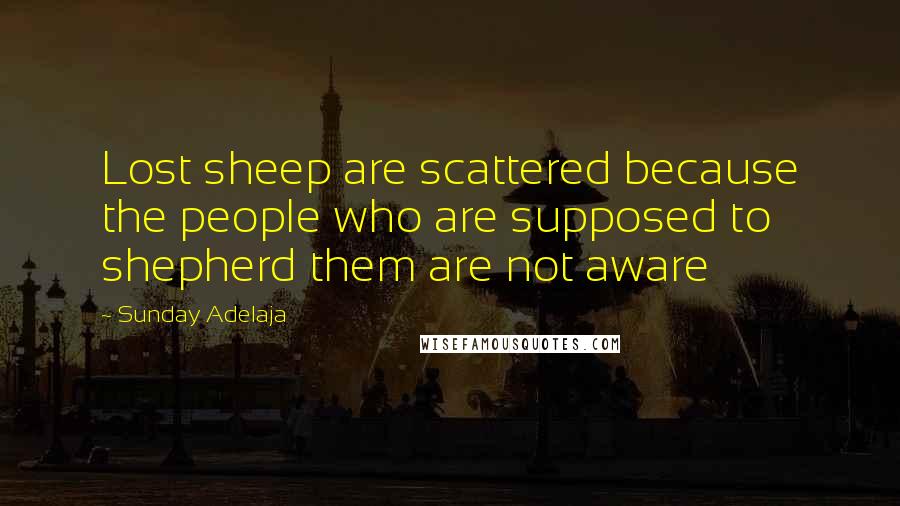 Sunday Adelaja Quotes: Lost sheep are scattered because the people who are supposed to shepherd them are not aware