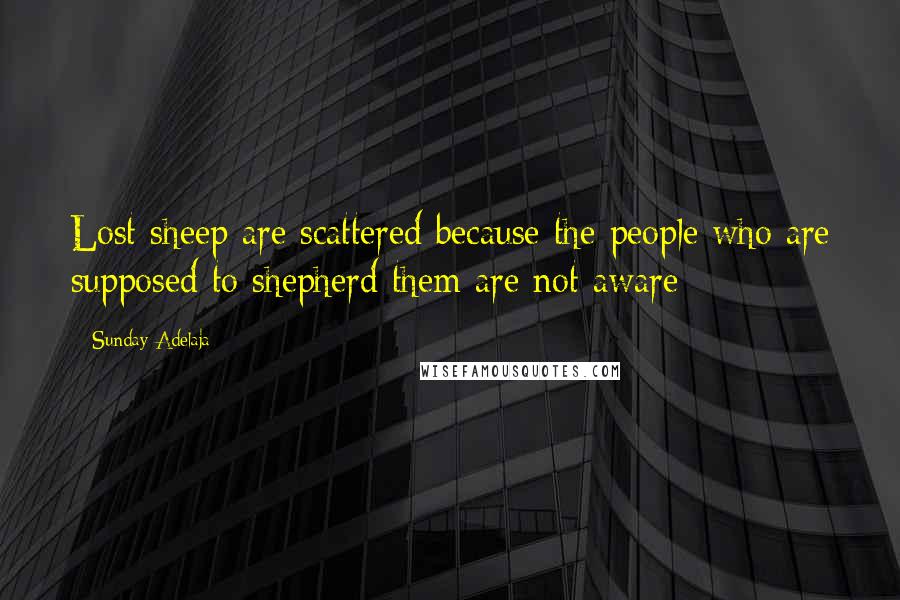 Sunday Adelaja Quotes: Lost sheep are scattered because the people who are supposed to shepherd them are not aware