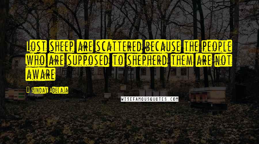 Sunday Adelaja Quotes: Lost sheep are scattered because the people who are supposed to shepherd them are not aware